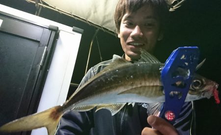 シースナイパー海龍 釣果