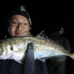 シースナイパー海龍 釣果