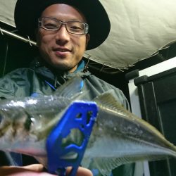 シースナイパー海龍 釣果
