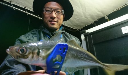 シースナイパー海龍 釣果