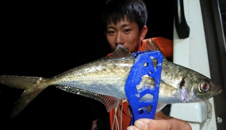 シースナイパー海龍 釣果