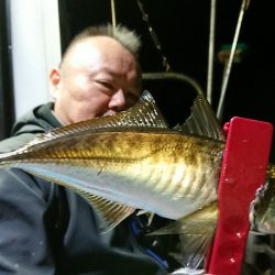シースナイパー海龍 釣果