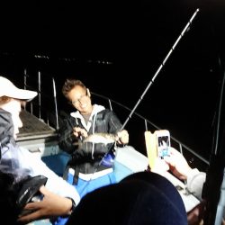 シースナイパー海龍 釣果