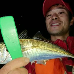 シースナイパー海龍 釣果