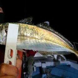 シースナイパー海龍 釣果