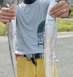スラッシュビートは魚に違和感なくバイトさせる！【メガバス（Megabass）スラッシュビートシリーズ　インプレッション】