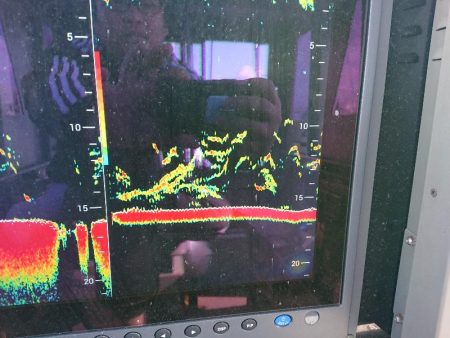 深川 吉野屋 釣果