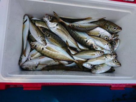 深川 吉野屋 釣果