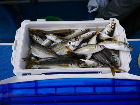 深川 吉野屋 釣果