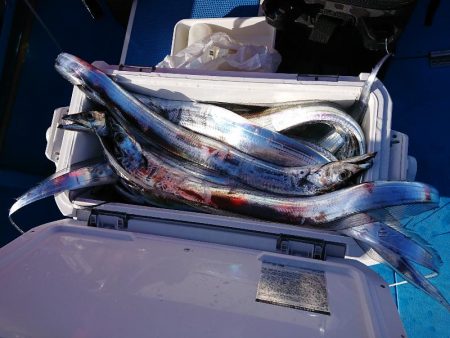 深川　吉野屋 釣果