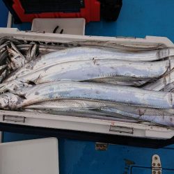 深川 吉野屋 釣果