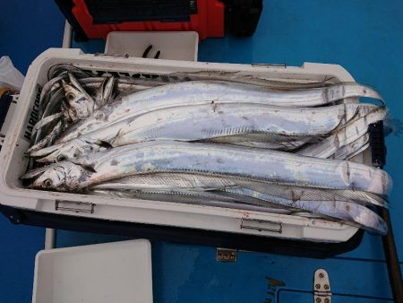 深川 吉野屋 釣果