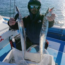 深川 吉野屋 釣果