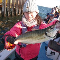 深川 吉野屋 釣果