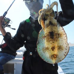 KIM Fishing Guide Service 釣果