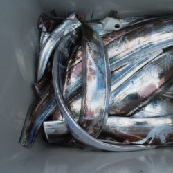 KIM Fishing Guide Service 釣果