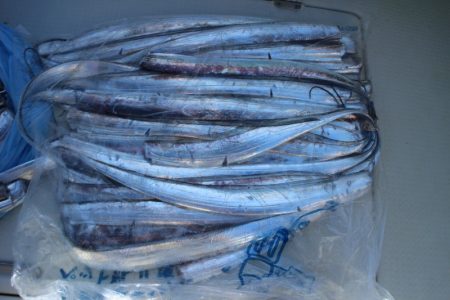 KIM Fishing Guide Ser…