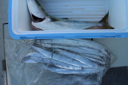 KIM Fishing Guide Ser…