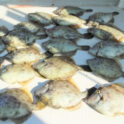 KIM Fishing Guide Service 釣果