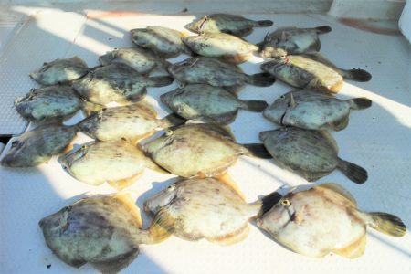 KIM Fishing Guide Service 釣果