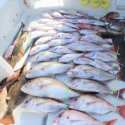KIM Fishing Guide Service 釣果