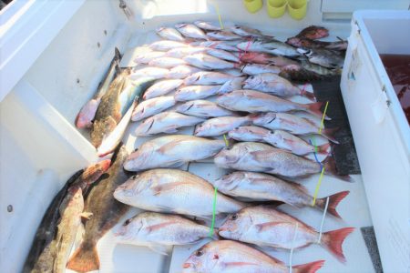 KIM Fishing Guide Ser…