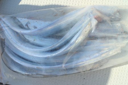 KIM Fishing Guide Service 釣果