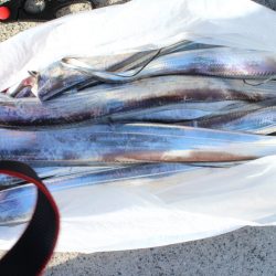 KIM Fishing Guide Service 釣果