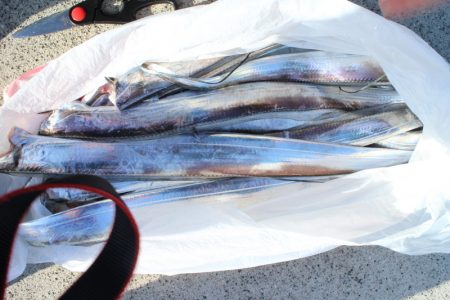 KIM Fishing Guide Service 釣果