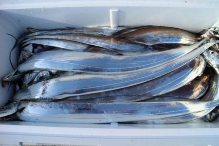 KIM Fishing Guide Ser…