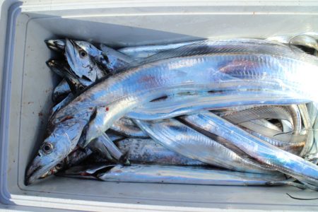 KIM Fishing Guide Ser…