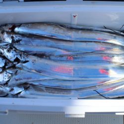 KIM Fishing Guide Service 釣果