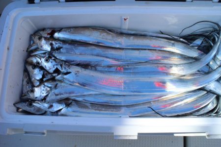 KIM Fishing Guide Service 釣果