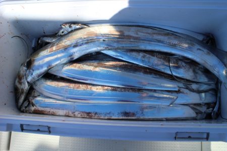 KIM Fishing Guide Service 釣果