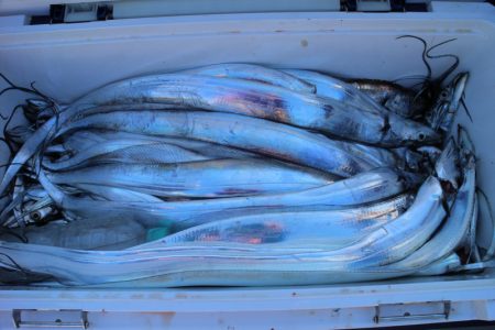 KIM Fishing Guide Ser…