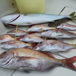 KIM Fishing Guide Service 釣果