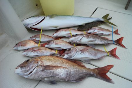 KIM Fishing Guide Ser…