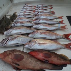 KIM Fishing Guide Service 釣果