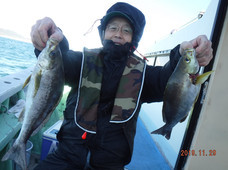 七福丸 釣果