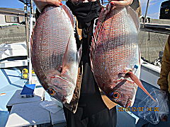 遊漁船 未紗奈 釣果