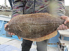 遊漁船 未紗奈 釣果