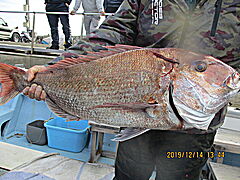 遊漁船 未紗奈 釣果