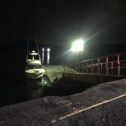 夜釣り