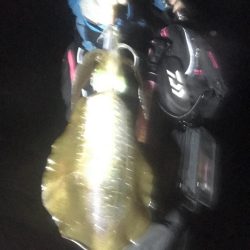 今年激シブの南紀でも場所選べばなんとかエギングでアオリイカ釣れる