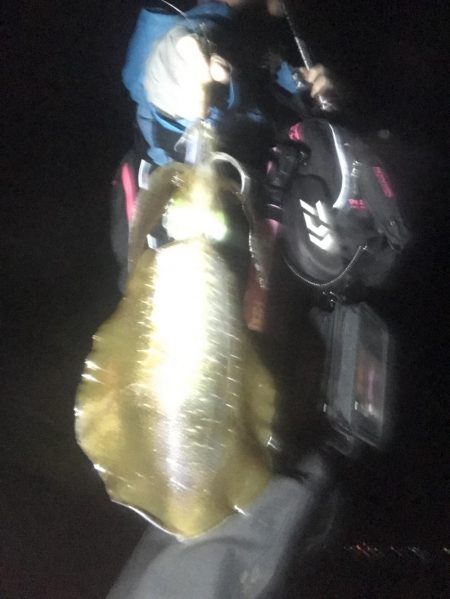 今年激シブの南紀でも場所選べばなんとかエギングでアオリイカ釣れる