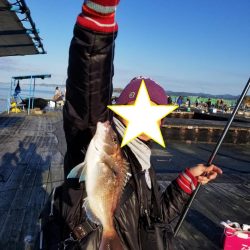 鯛釣りイサキ釣りｗ