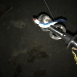 シーバス厳しい