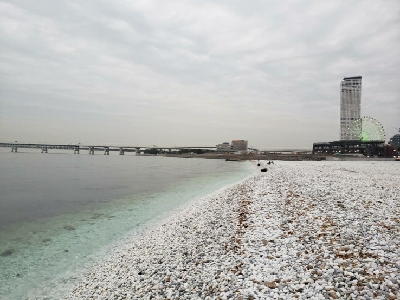 アコウが釣れた!