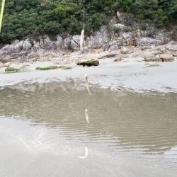 今日は、今年1番の釣果!