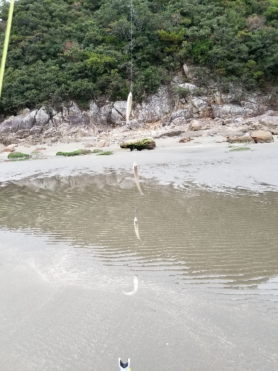 今日は、今年1番の釣果!